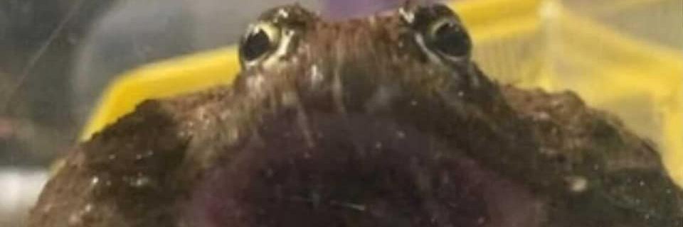 Rorray214's profile banner image