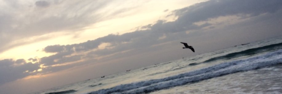sh__9's profile banner image