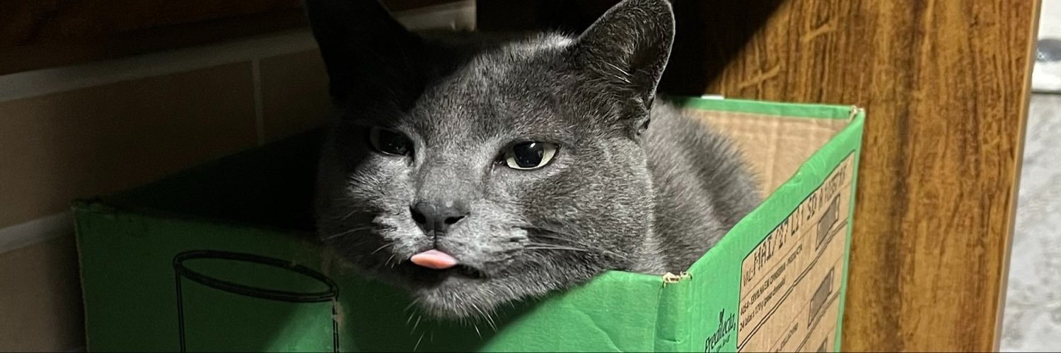 eitaVitin's profile banner image
