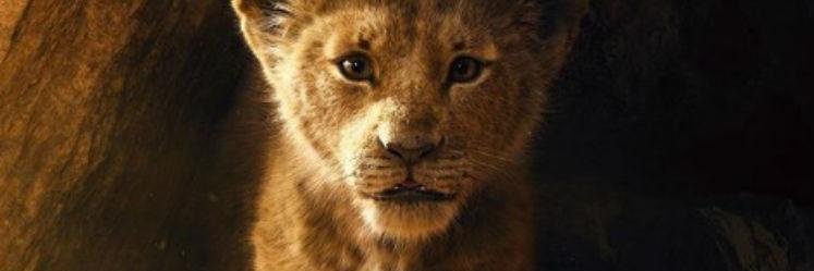 LaraMGut's profile banner image