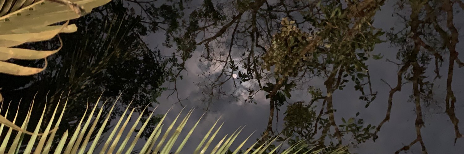 poetsandmoon's profile banner image