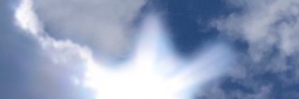 talnottowel Profile Banner
