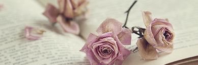 eman_abdalaziz's profile banner image
