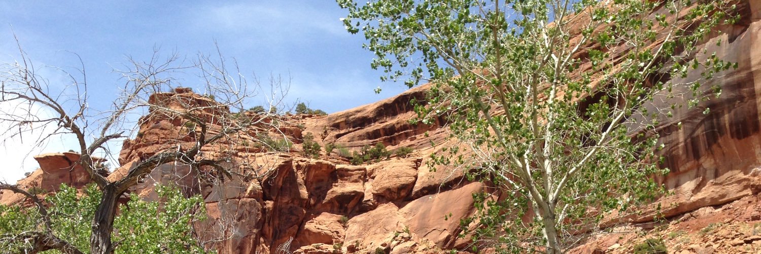 t_edgar88's profile banner image