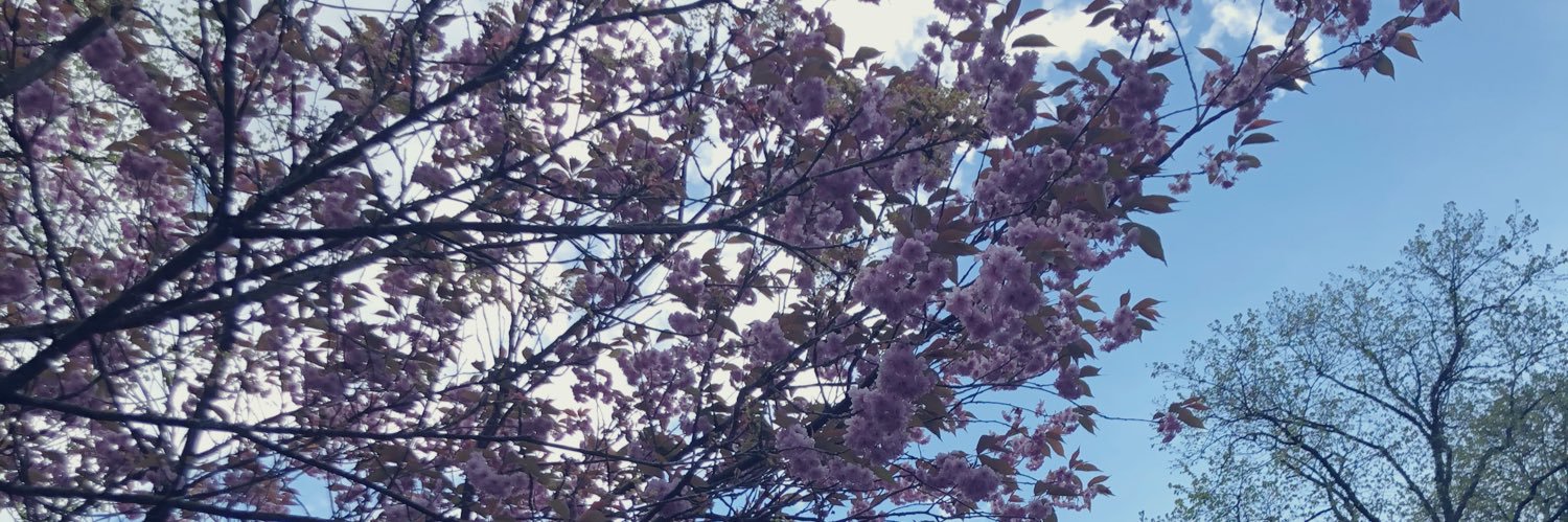 mxssnothing's profile banner image
