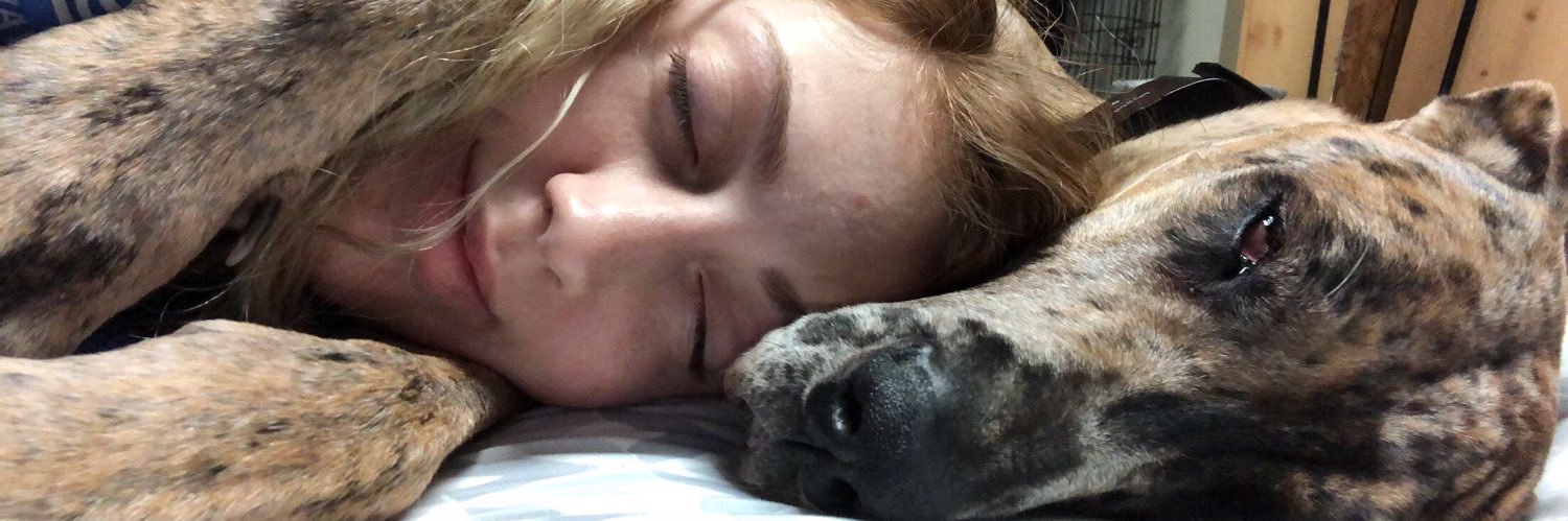 baileybug147's profile banner image