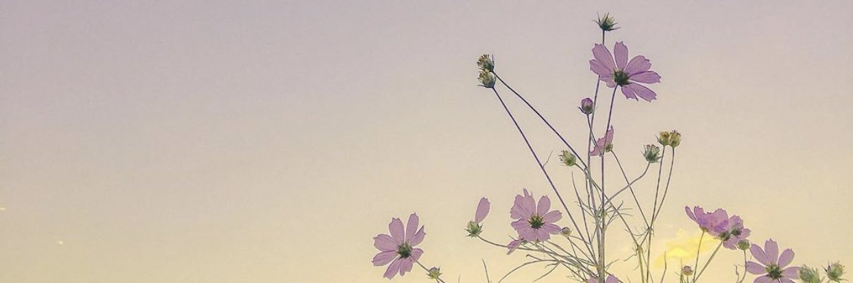 lisbethrsls's profile banner image