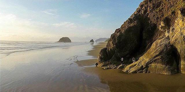 janalyn taylor banner