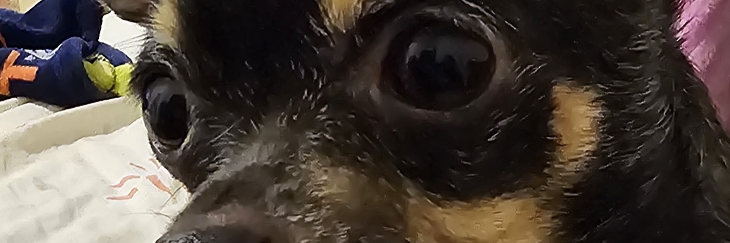 Amauriulloa's profile banner image