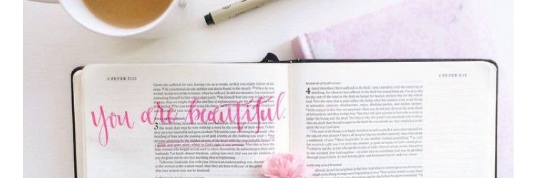 EmilyOrvis1's profile banner image