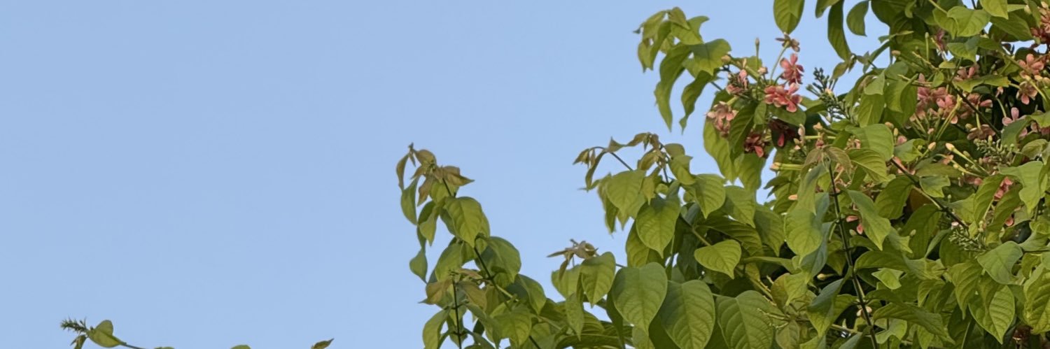 feras_y_7's profile banner image