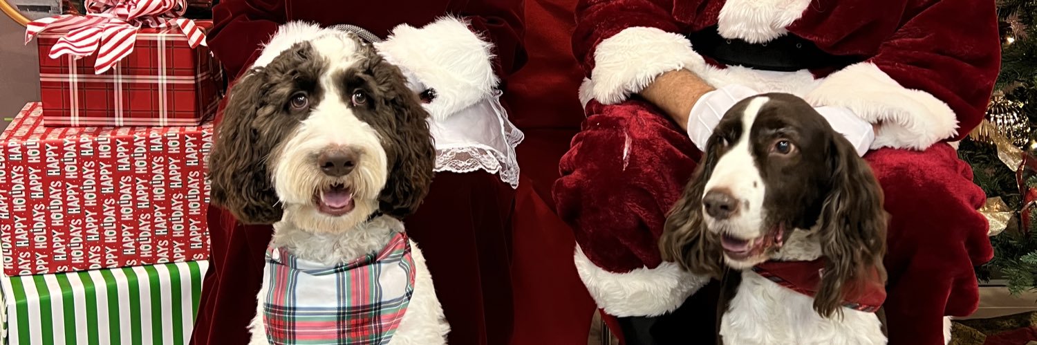 BrookeTownsend_'s profile banner image