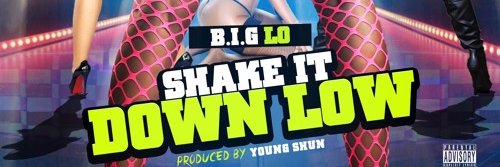 V-Link Collections banner