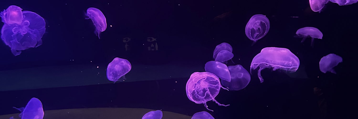 misshxll's profile banner image