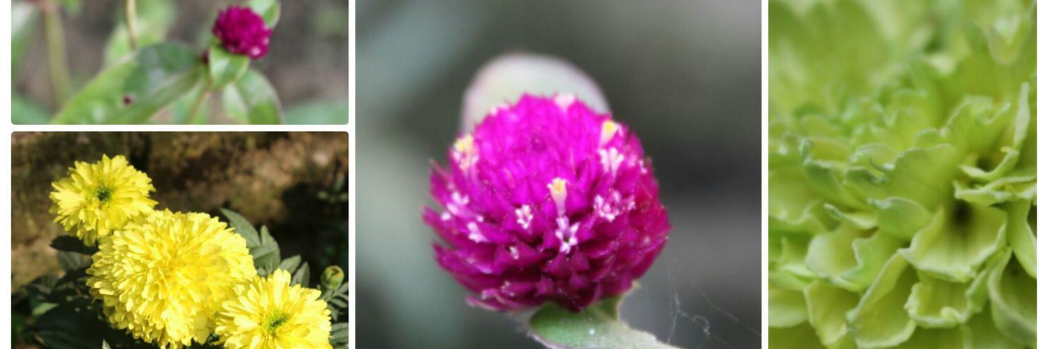 ™!!💞👫💞!! banner