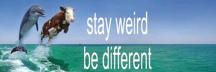 campruverse's profile banner image