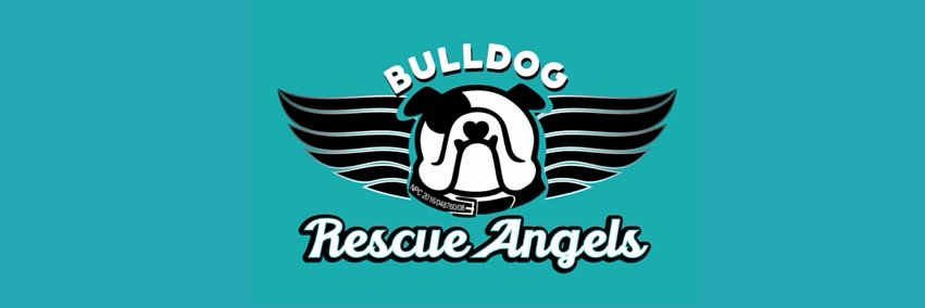 BulldogRescueSA's profile banner image