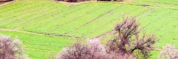 EmJayMaymeh's profile banner image