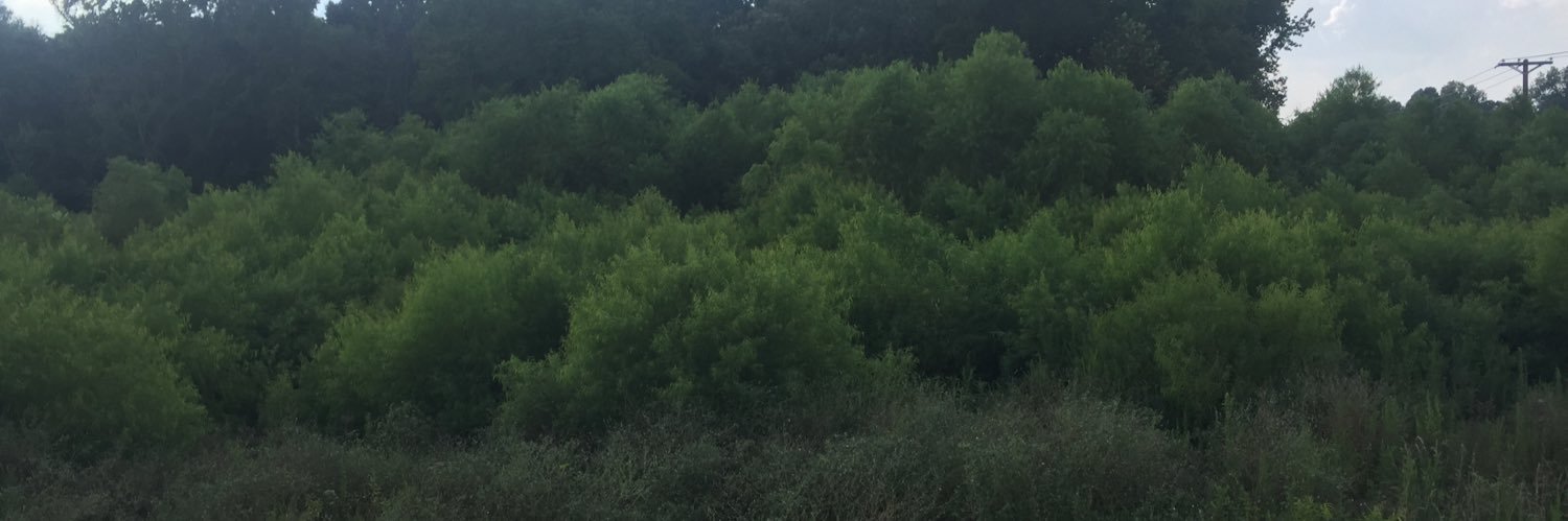 Gavin_Dass's profile banner image