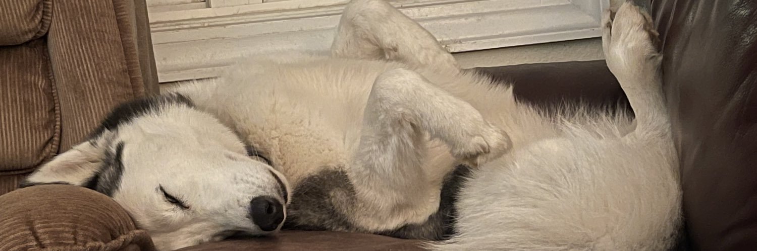 bailey_tsm's profile banner image