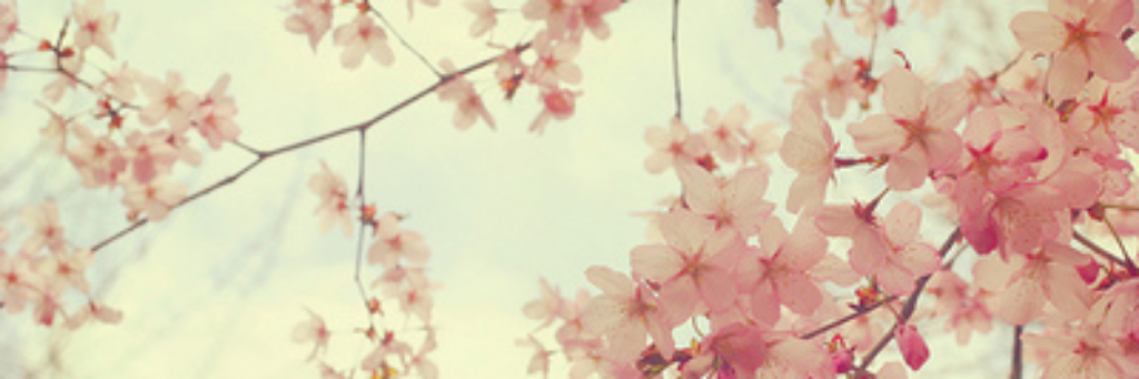 LuMorenoG's profile banner image