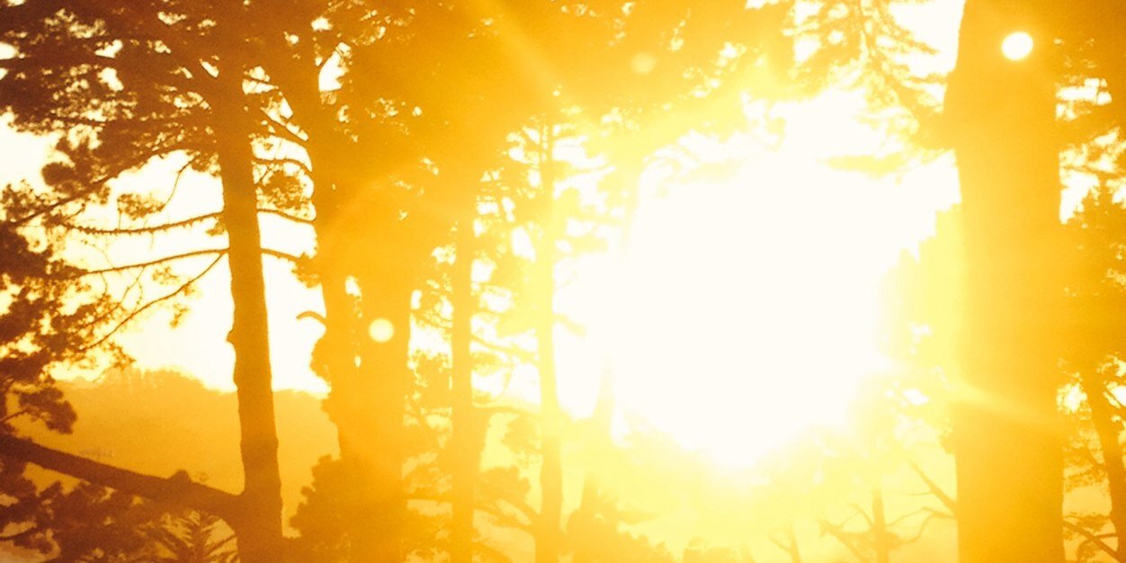 proctor_taylor's profile banner image