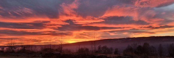 BeInSync Profile Banner