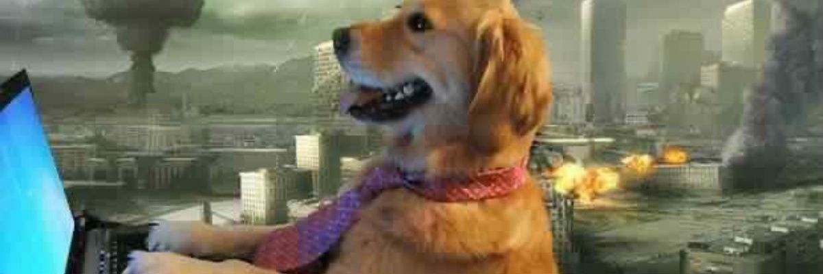 Queen Marmota👸💅 banner