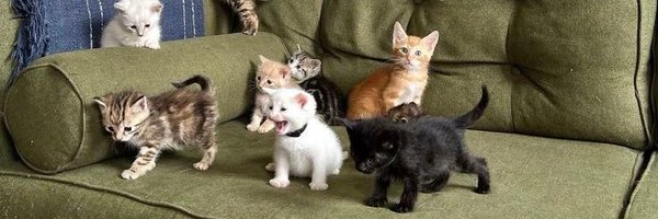 inlostworlld Profile Banner