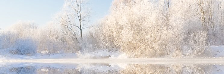 nika406's profile banner image