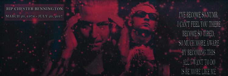 xYellx's profile banner image