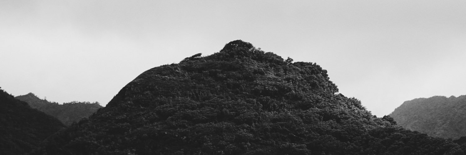 LexyWags's profile banner image