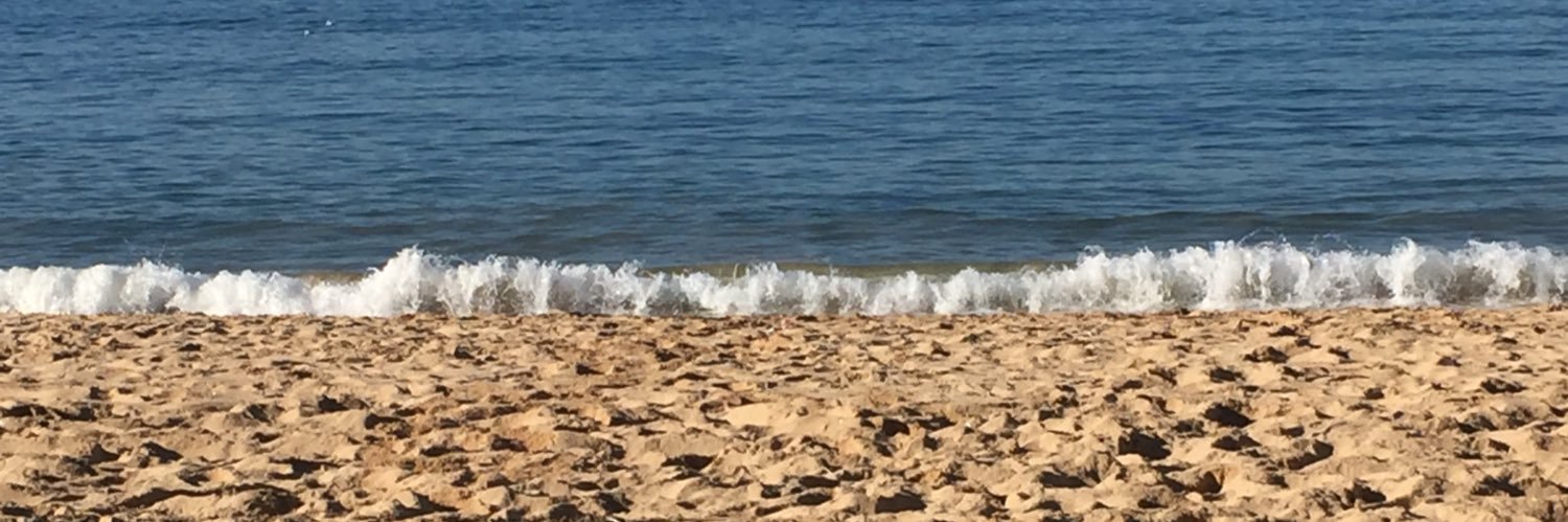 Fuencisla Cid banner