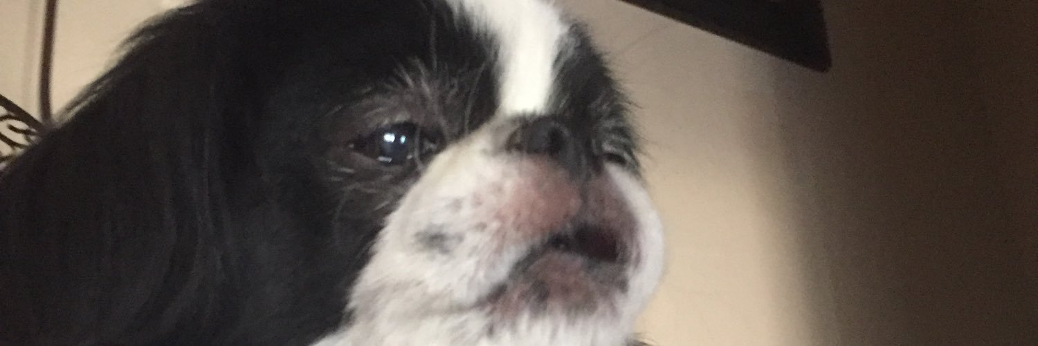 cashperilla's profile banner image