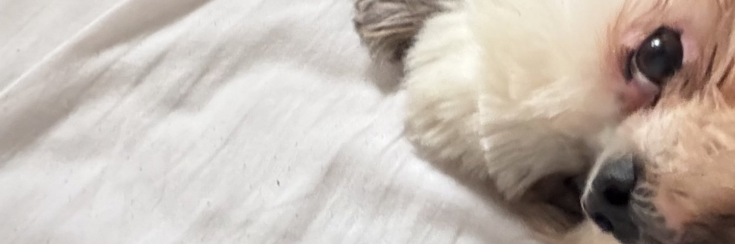 viniciuspigatto's profile banner image