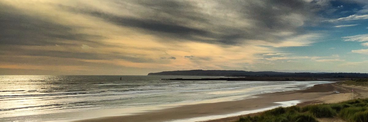 Mandy Putin Bot Baldwinski banner