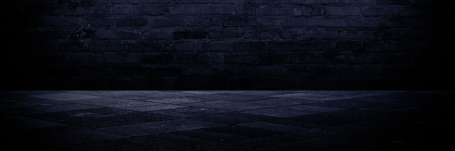 TheRavenXavier's profile banner image
