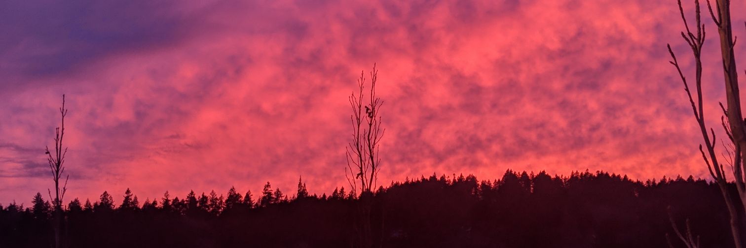 jamyoureye's profile banner image