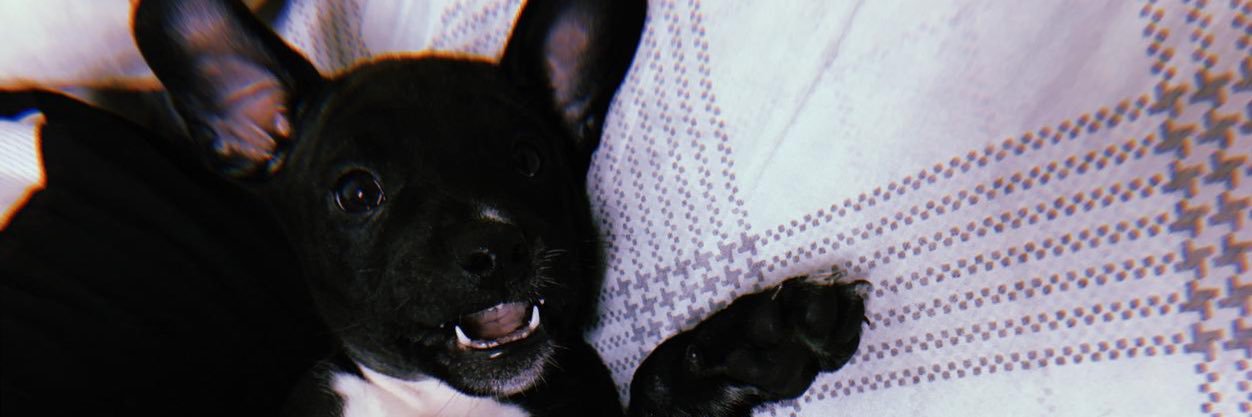 AlbertoJonath's profile banner image