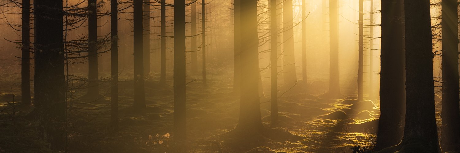 robertwoonacott's profile banner image