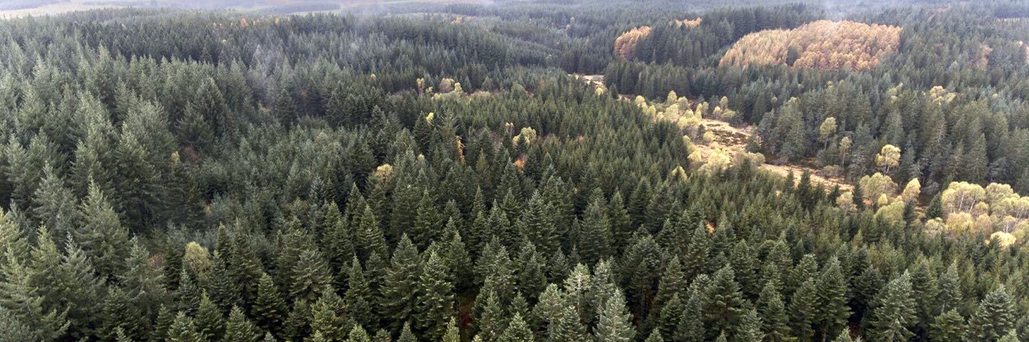 Frédéric BORDES banner