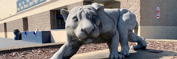 FRSDPanthers Profile Banner