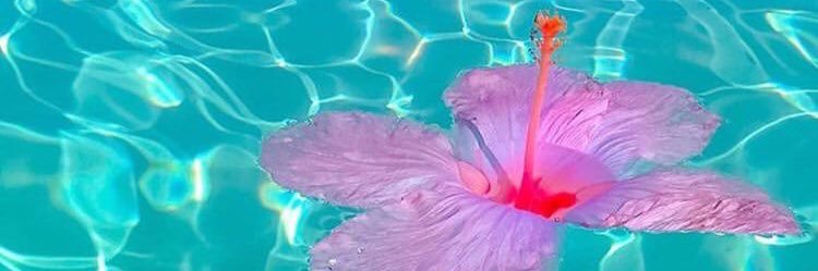 Allisonn_777's profile banner image