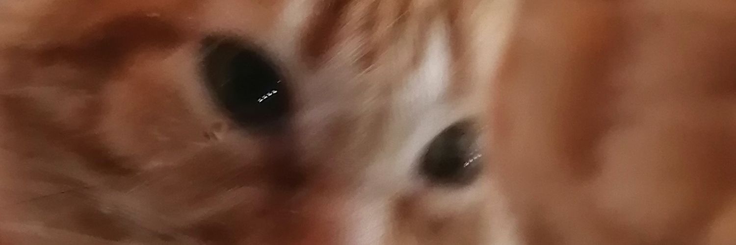 ShookySHat's profile banner image