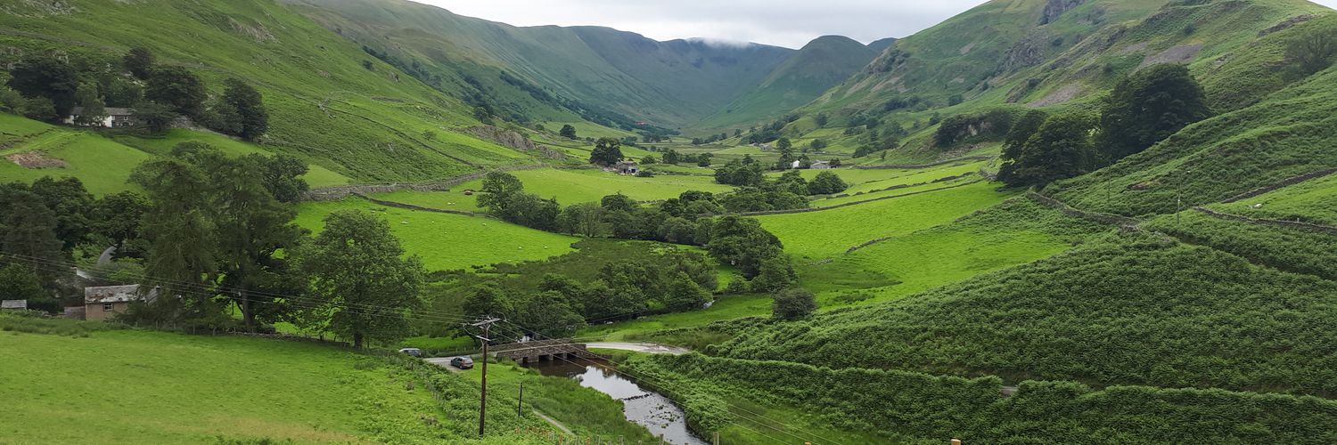 michelle jennings banner