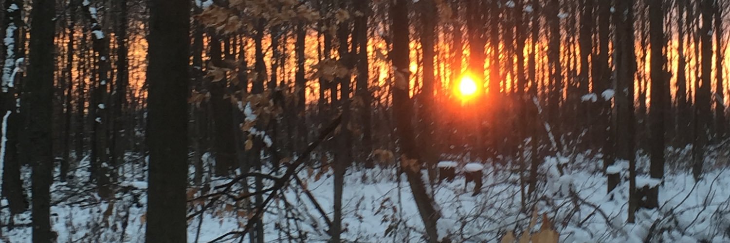 Darin MacDonald banner