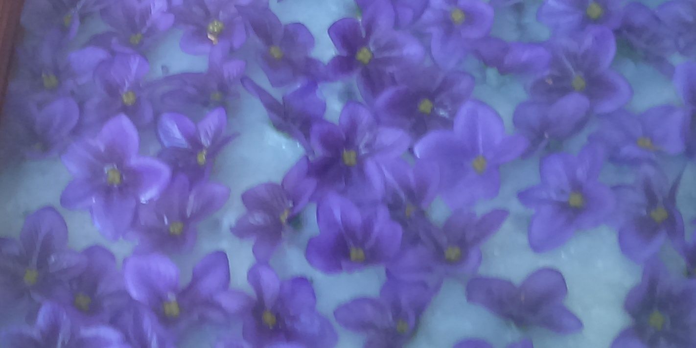 Degans Axelle banner