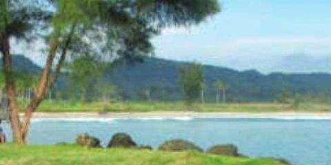 RiniRinoy2's profile banner image