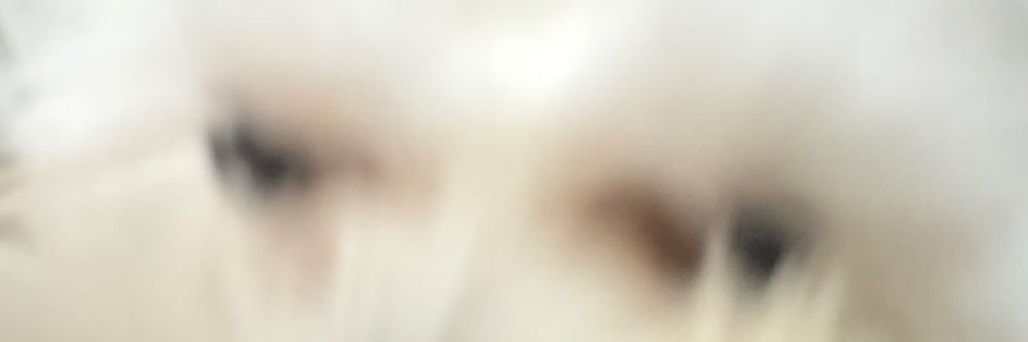 a3kkh's profile banner image