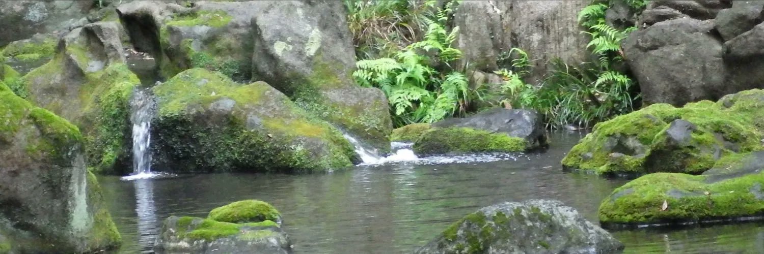 josephllanto's profile banner image